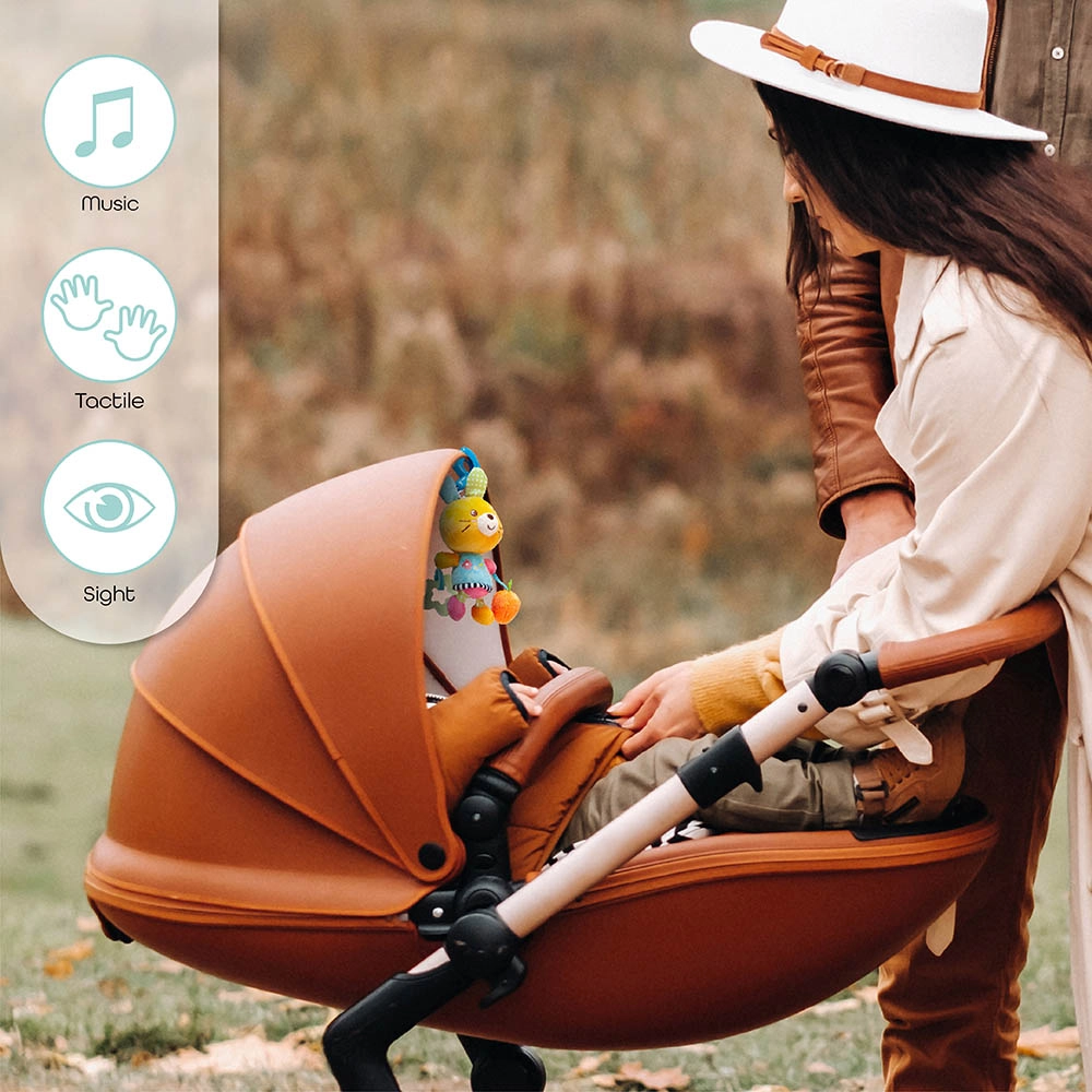 Pull String Musical Toy - 0 +