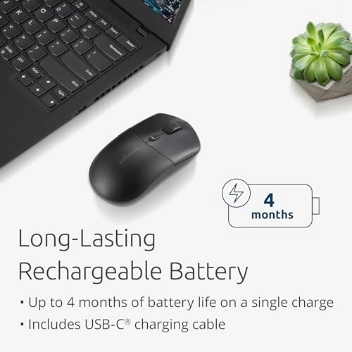 MY430 EQ Mouse - Wireless