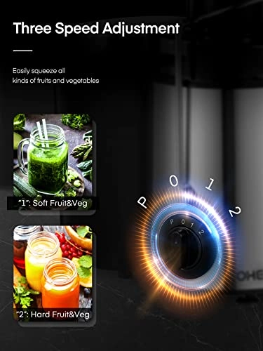 Juicer - 400 watts 0.8 Liters