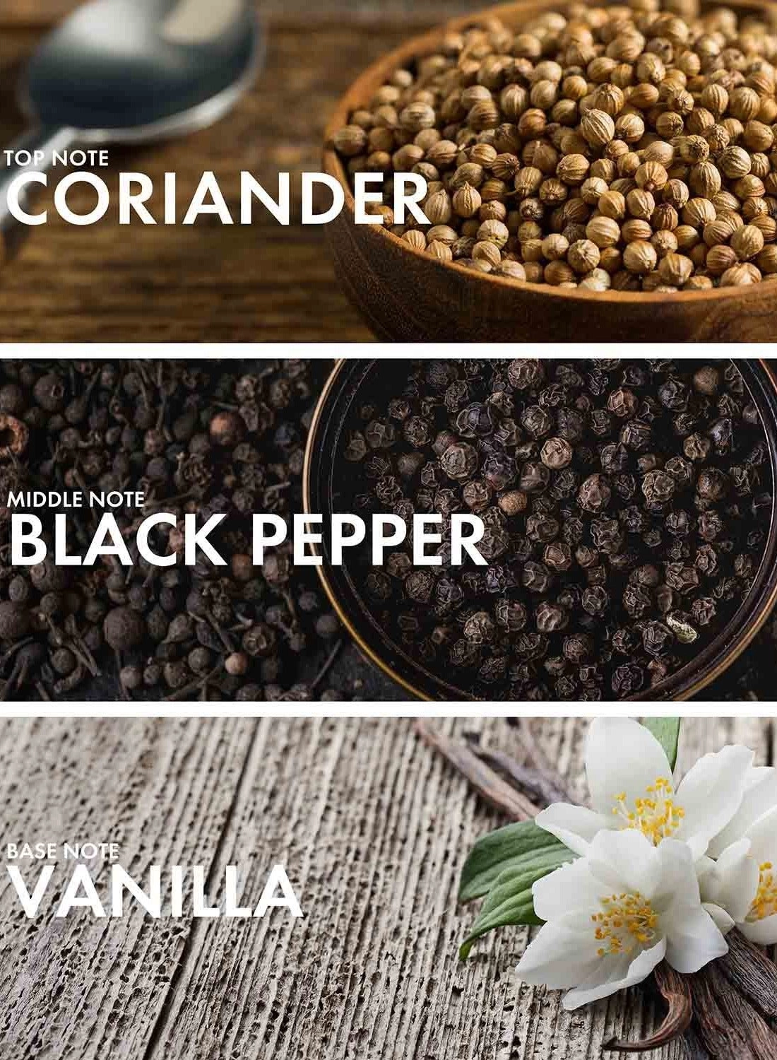 Grapefruit Patchouli Eau de Parfum 50 ml