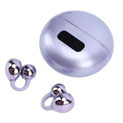 d53t12kl0i-13 Wireless Earbud