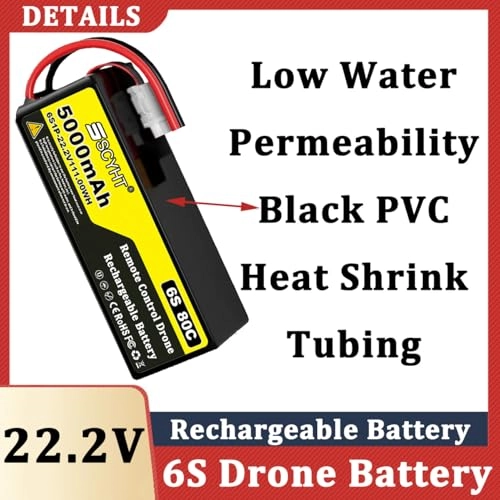 Lipo Battery 6S