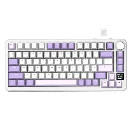 AK820PRO - EN Wired/Wireless