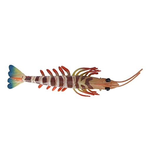 Marine Prawn - 18 months - 3 years