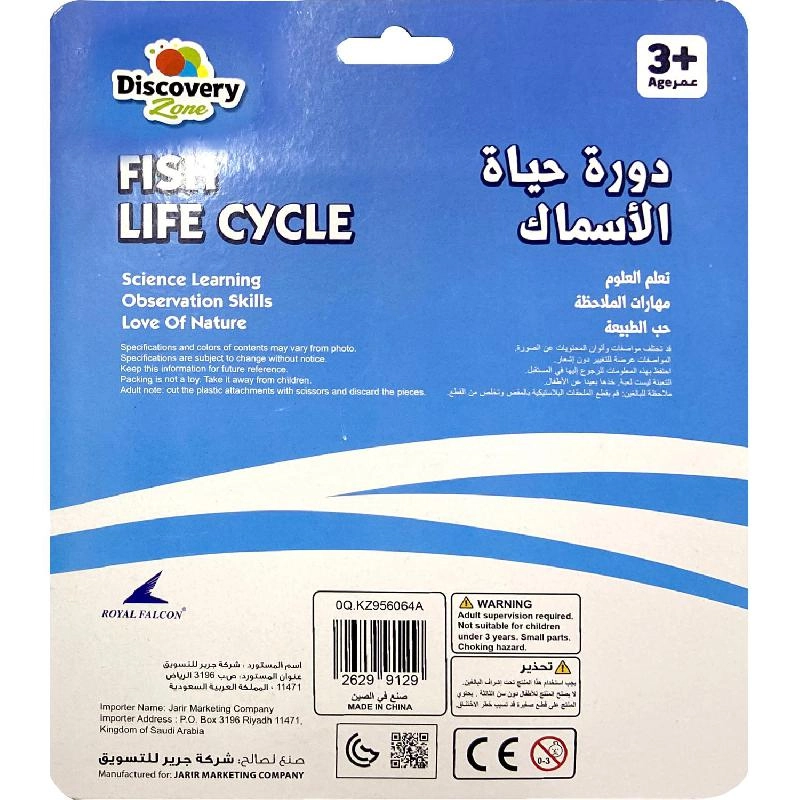 Life Cycle of Salmon Fish Biology - 7 Years and Above 5 pieces