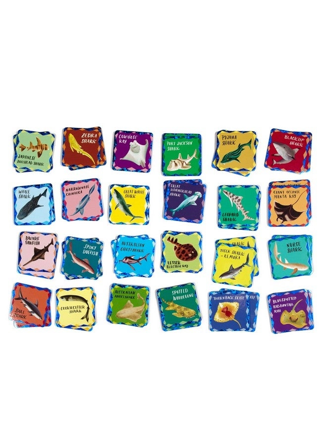 Memory & Matching Game: Shiny Sharks & Friends - 3+ 24 Matching Pairs