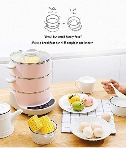 Multi-function electric steamer - 4 Liters