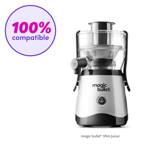 Mini Juicer Sieve