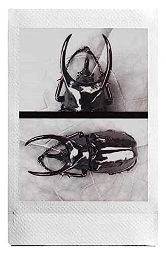 Mini EVO - Hybrid Instant Camera USB-C Black