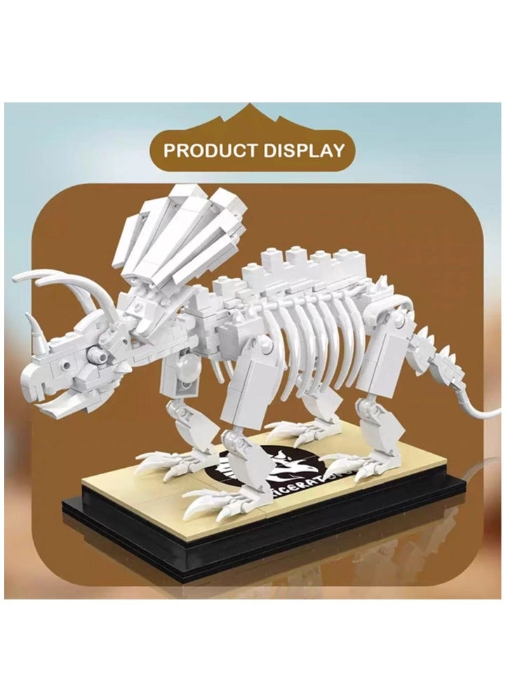 Dinosaur Triceratops Fossil Model - 8 years+