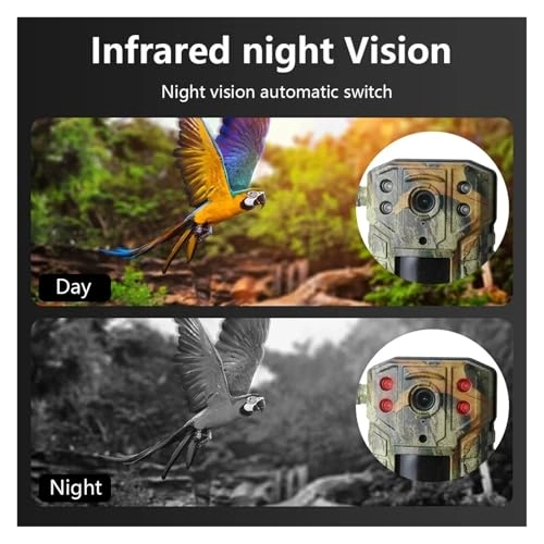 Solar Hunting Rear Camera - 4G 4 megapixel