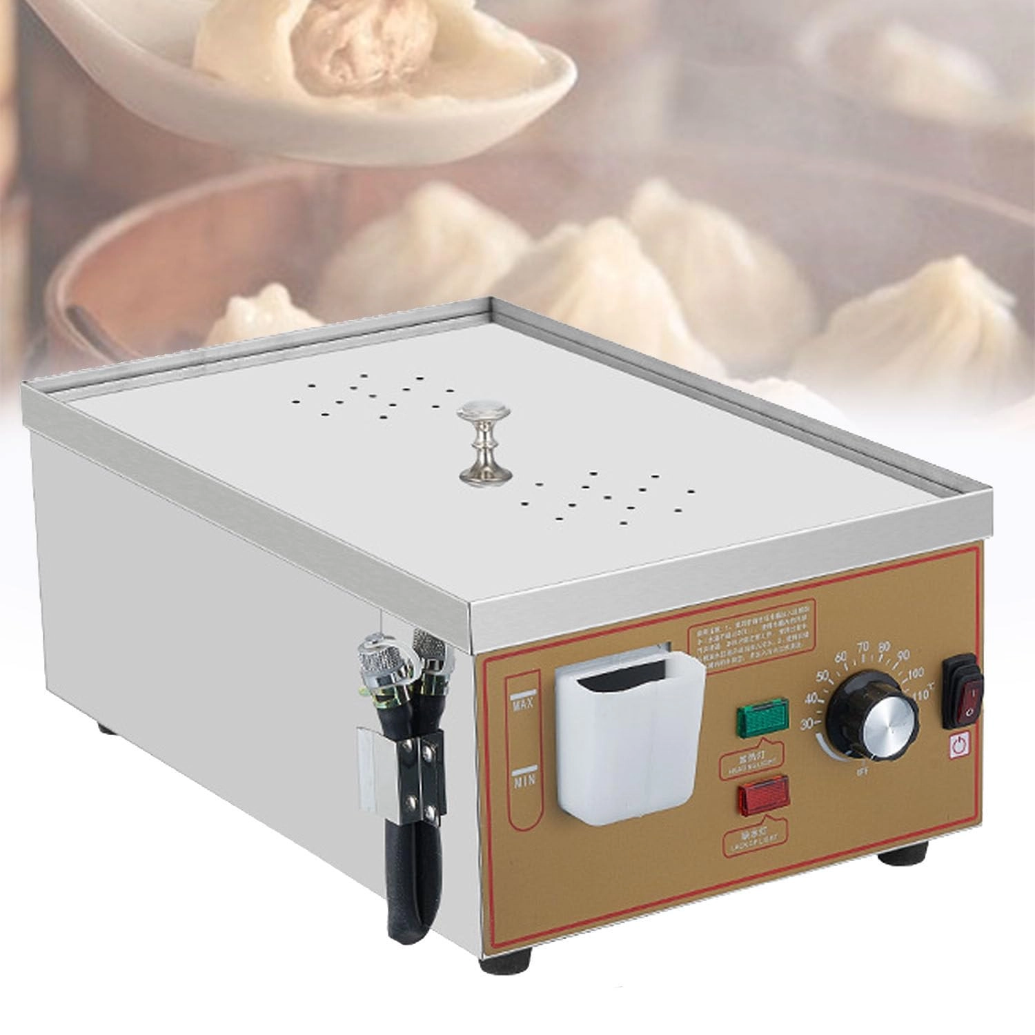 Electric Steamer