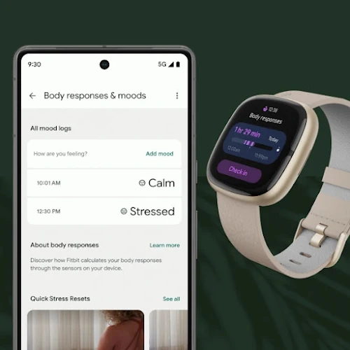 Understand stress with all-day body response tracking.