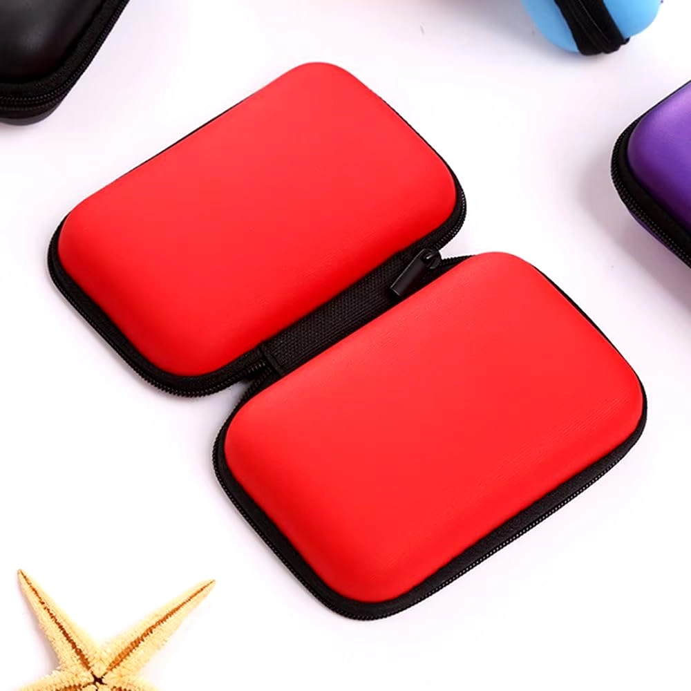 Hard Drive Carrying Case - 2.5 inch