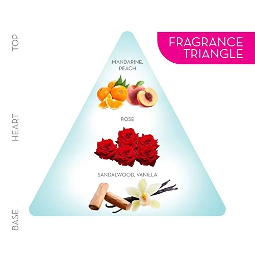 Original Eau de Parfum 360ml Pack