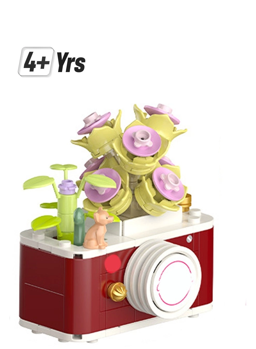 Camera Model Set