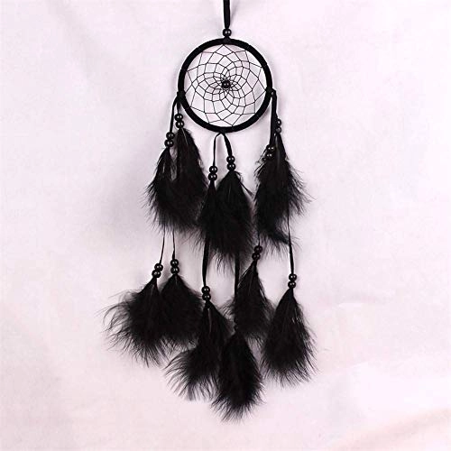 Dreamcatcher - Siderosphere, feathers, lines, wood beads.