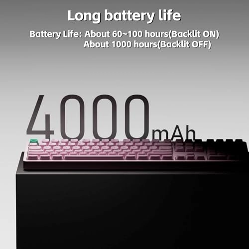 Node100 - Wired/Wireless