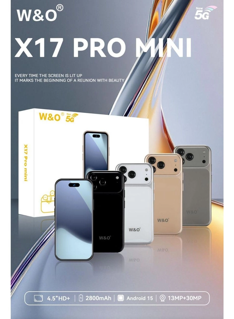 X17 PRO Mini