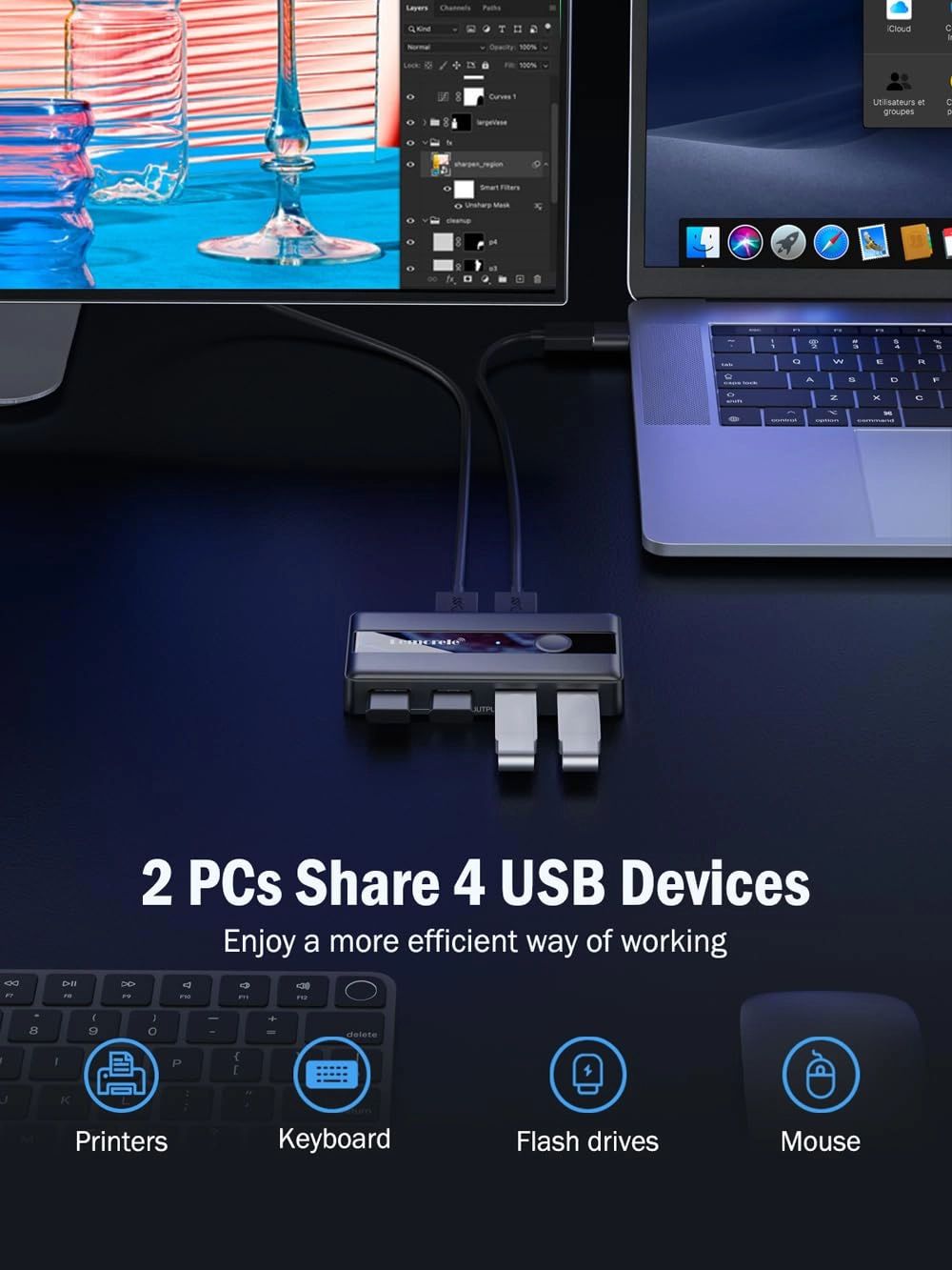 USB 3.0 Sharing Switch - 2 Computers 4 USB Ports