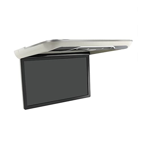 Car Screen - 19 inch