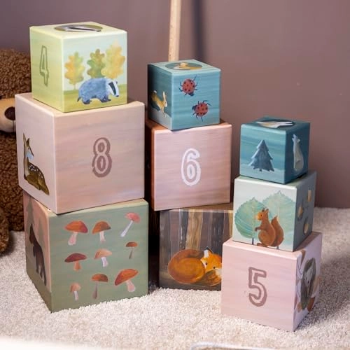 Pyramid Toy Set - 36 Months 9 pieces