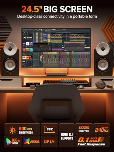 Portable Monitor - 24.5 24.5 Inches 2560x1440