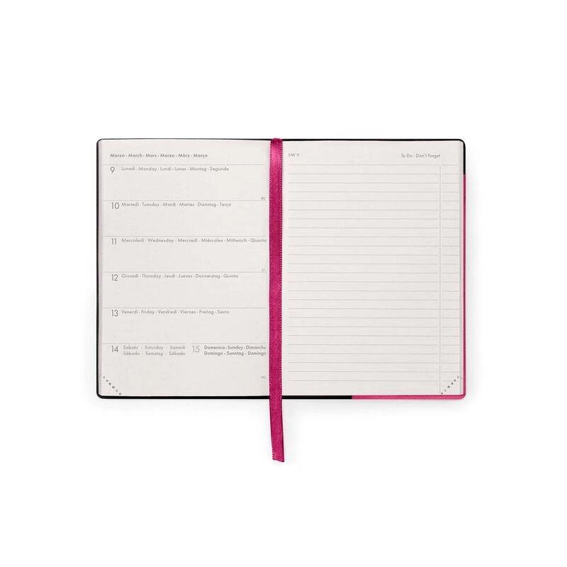 16-Month Diary