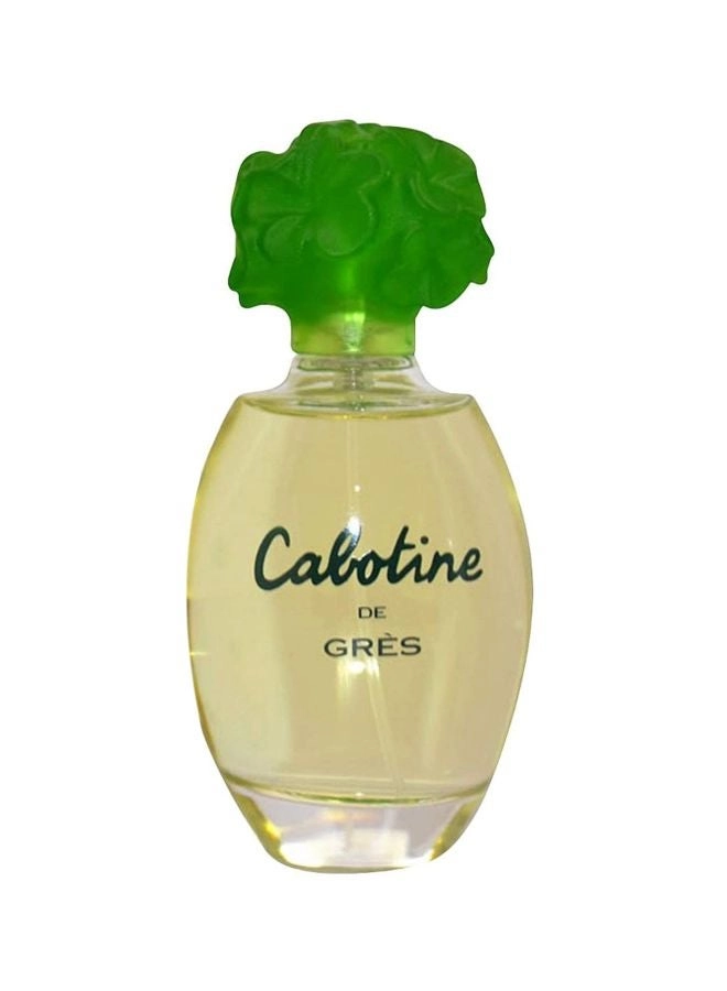 Perfume For Women Eau de Toilette 100ml