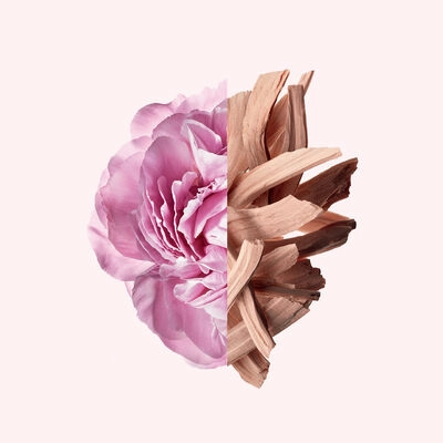 Very Irresistible Eau de Toilette 50ml