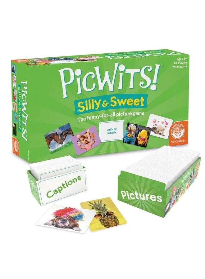 MindWare PicWits