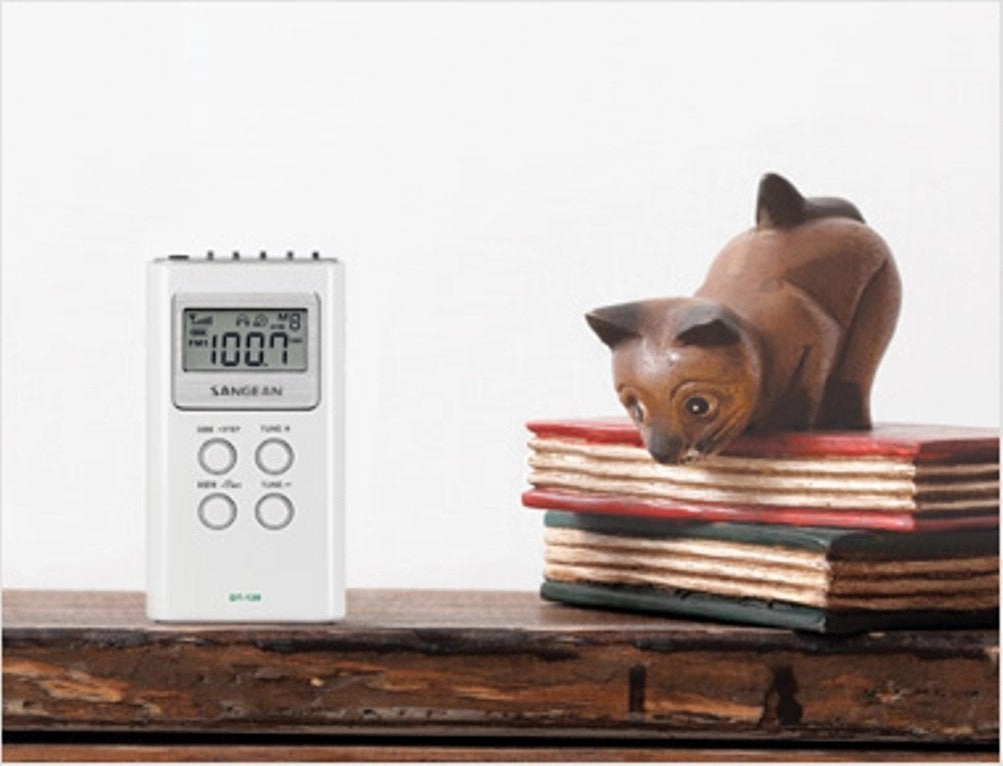 DT-120 - Pocket Receiver