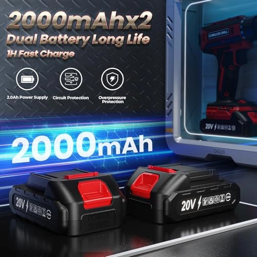20VDZ - 20V 2 Batteries 42NM