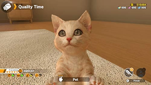 Little Friends: Dogs & Cats | Nintendo Switch
