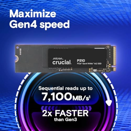 P310 - 500GB M.2 2280