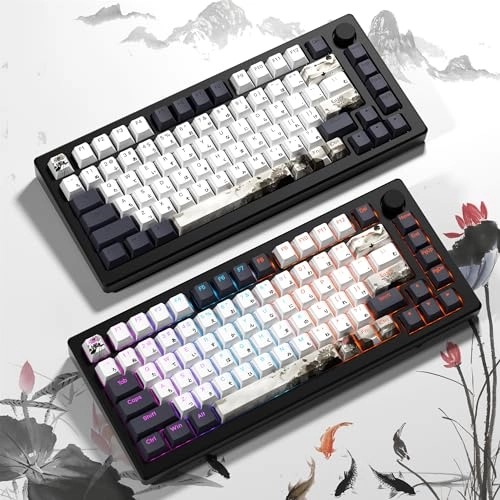 XVX Shine Through Keycaps