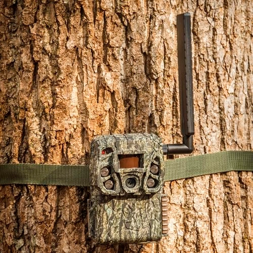 Defender Vision Pro HD AI - 46MP