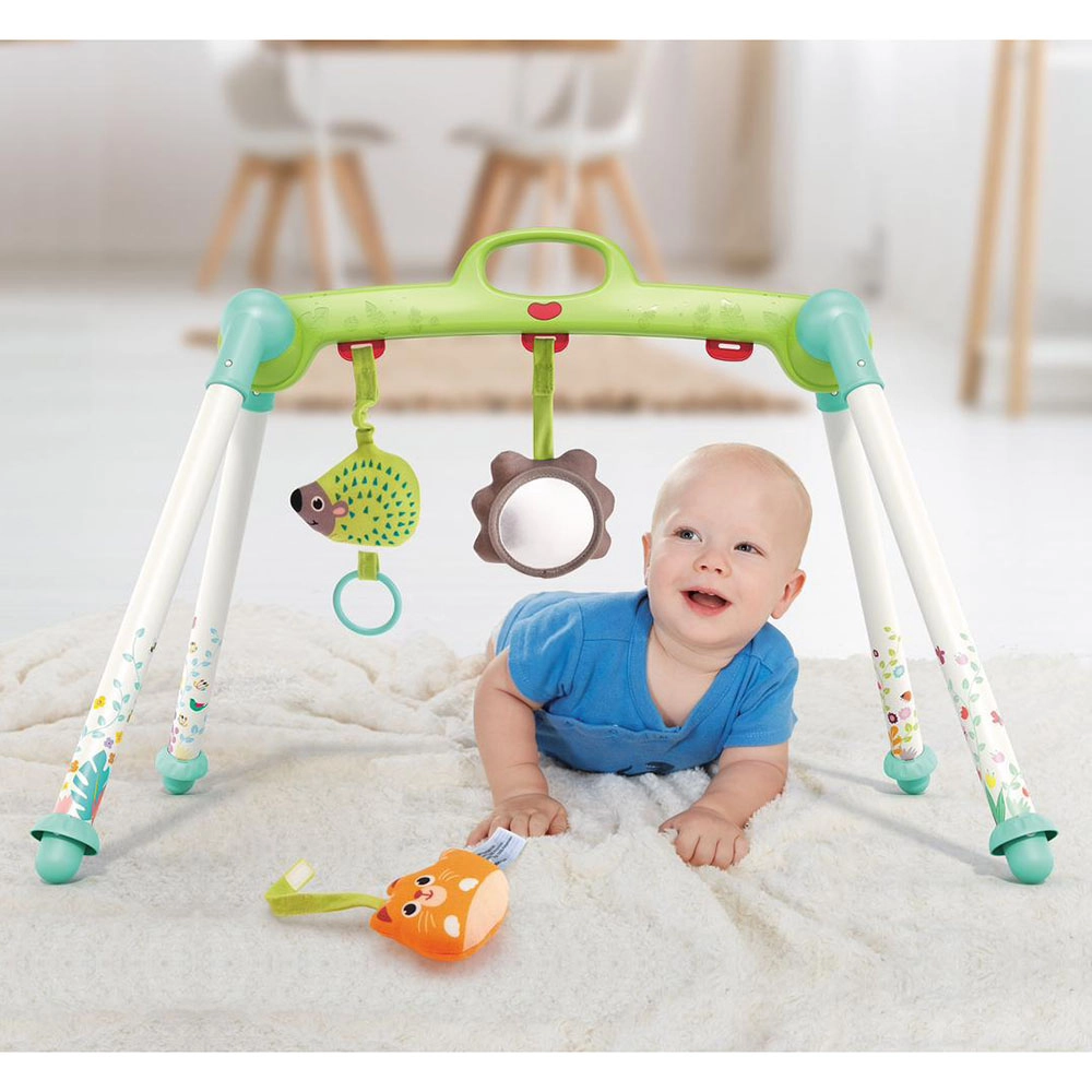 Baby Activity Play Gym - 0 month