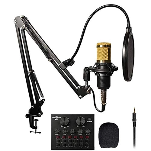 BM-800 Wired Microphone