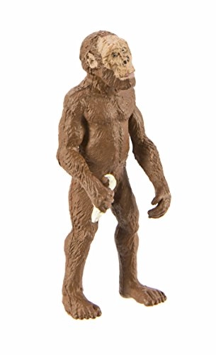 Zoo Animal - Lowland Gorilla (663816)