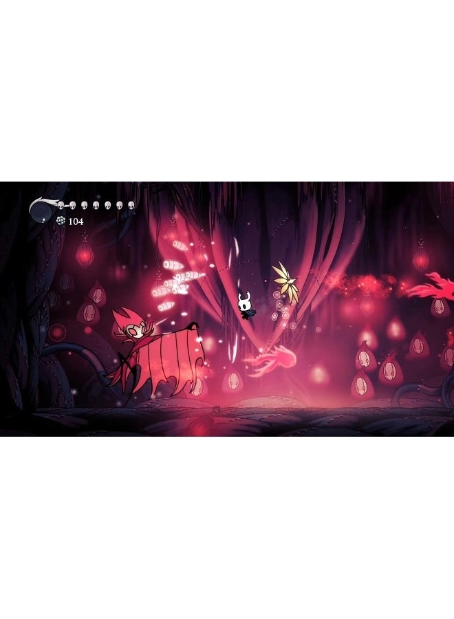 Hollow Knight | PS5