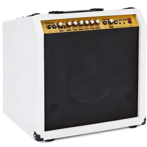 Electric Guitar Amplifier - 60W 10" 4-Ohm Speaker