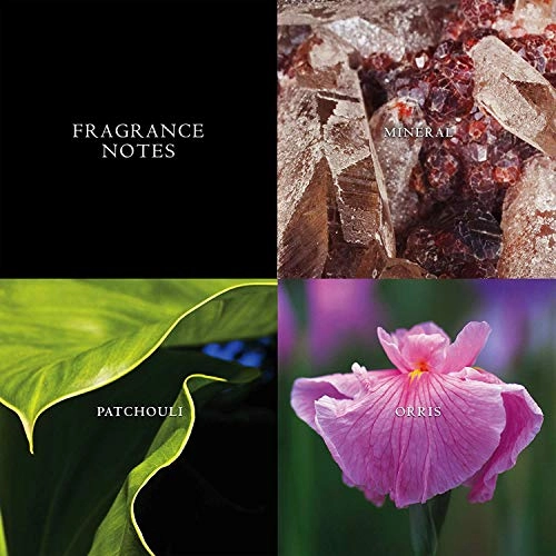 Nick Jonas Siver Eau de Toilette 75 ml