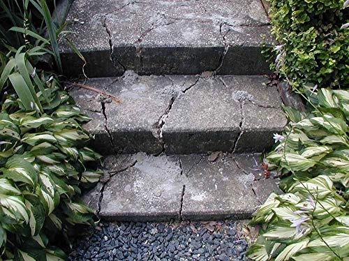 Expansive Demolition Grout - 11 Lb. Bucket