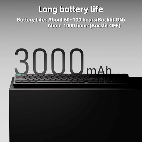 Node100 - Wired/Wireless