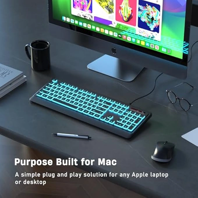 LARGE PRINT BACKLIT KEYBOARD