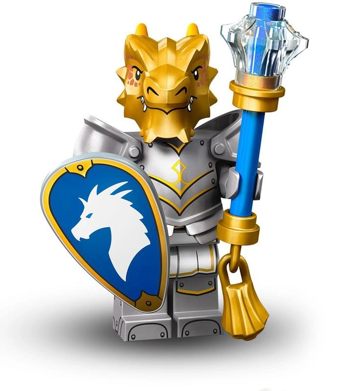 BRICK Flip Dungeons & Dragons - Dragonborn Paladin (71047)
