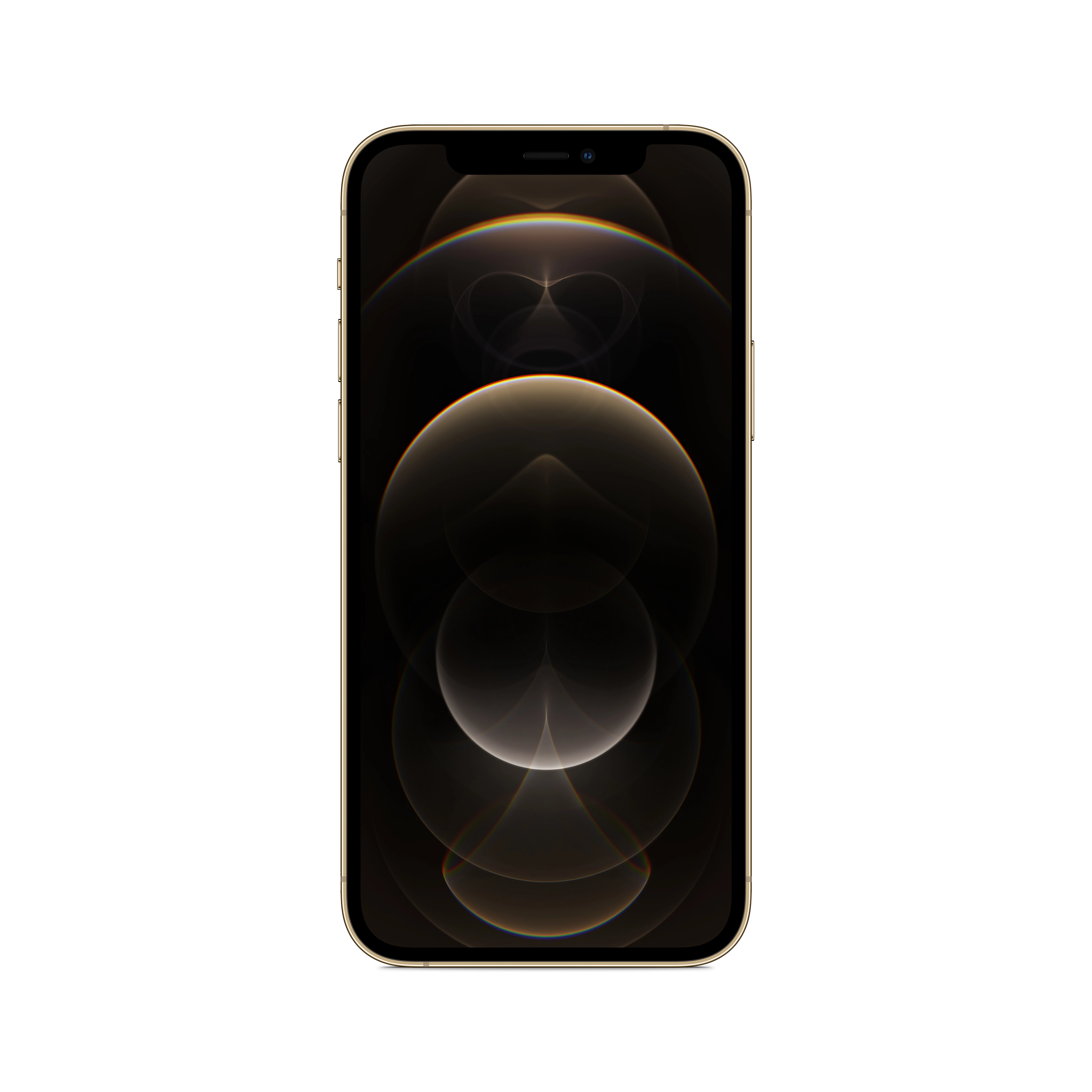 (Renewed) iPhone 12 Pro - 256GB