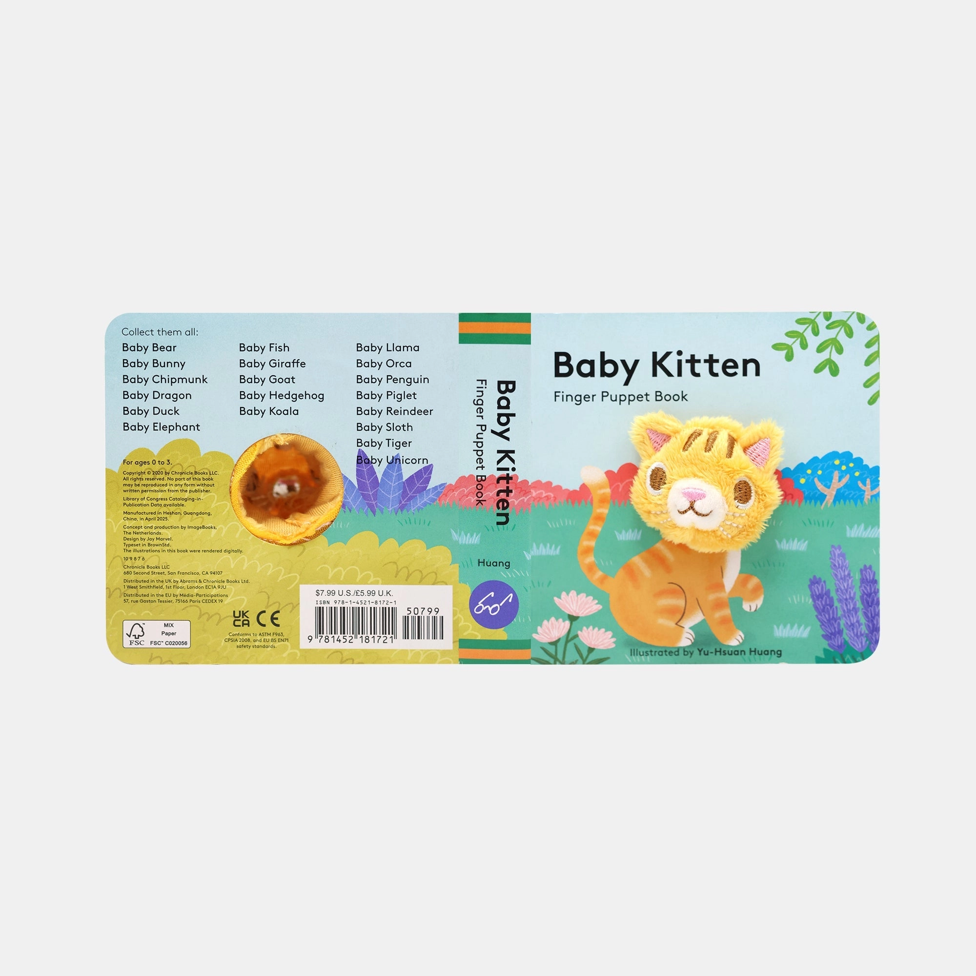Baby Kitten