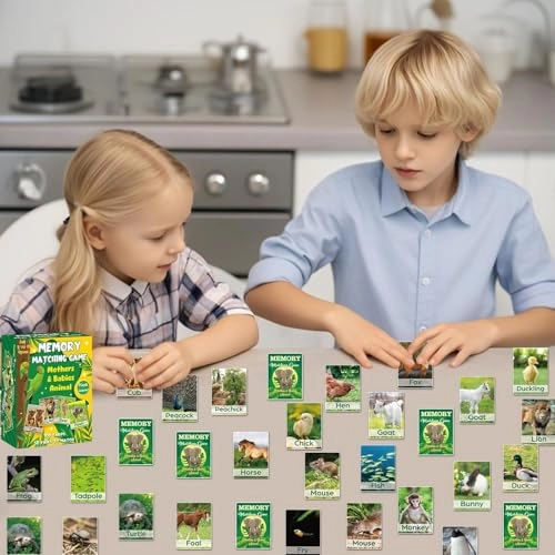 Memory Matching Game - 3 years and up 100 pieces